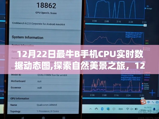 12月22日手機(jī)CPU實時數(shù)據(jù)動態(tài)圖，探索自然美景，領(lǐng)略寧靜之美之旅