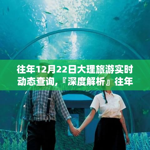 『深度解析』，往年12月22日大理旅游實(shí)時(shí)動(dòng)態(tài)查詢?nèi)馕觥匦?、體驗(yàn)、競(jìng)品對(duì)比與用戶洞察體驗(yàn)報(bào)告