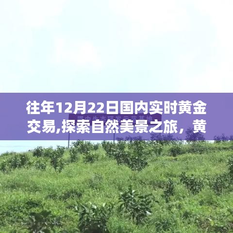 黃金交易與自然美景之旅，一場(chǎng)遠(yuǎn)離塵囂的奇妙黃金交易體驗(yàn)與心靈之旅