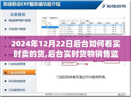 后臺(tái)實(shí)時(shí)貨物銷售監(jiān)控體系詳解，以2024年12月22日為例的銷售數(shù)據(jù)評(píng)測與實(shí)時(shí)貨物銷售監(jiān)控解析