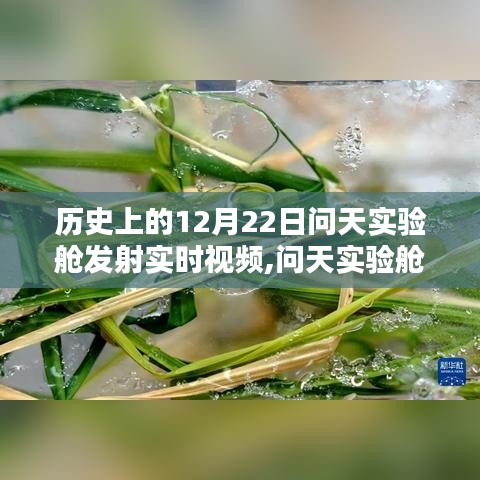 廢寢忘食 第3頁(yè)