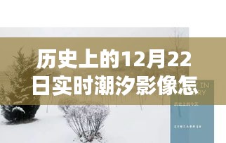 揭秘歷史潮汐影像，解析12月22日實(shí)時(shí)潮汐影像，特性、體驗(yàn)、競品對比與用戶洞察