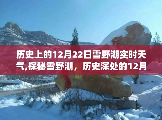 雪野湖歷史實(shí)時(shí)天氣揭秘，探尋12月22日的獨(dú)特風(fēng)情與小巷韻味