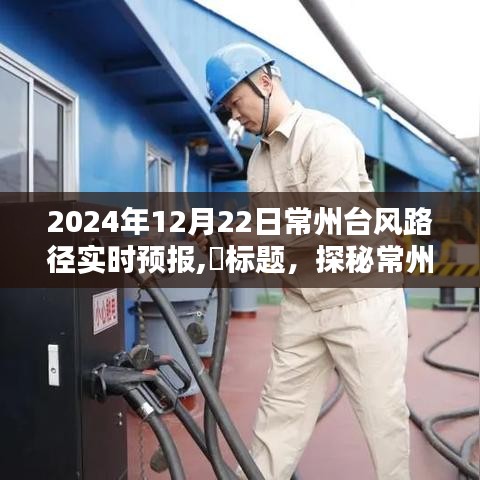 臺風來襲下的常州小巷美食探秘，實時路徑預報與驚喜邂逅