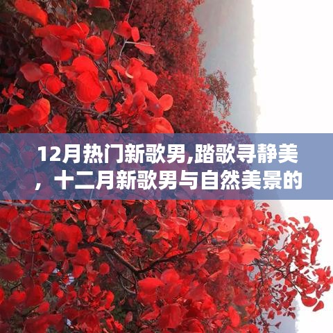 十二月新歌男踏歌尋靜美，與自然美景的浪漫邂逅之旅