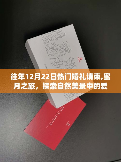 遠(yuǎn)離塵囂的婚禮冒險，探索自然美景中的愛情誓言與蜜月之旅的浪漫啟程