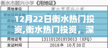 衡水熱門投資深度測評(píng)與介紹，最新動(dòng)態(tài)及介紹