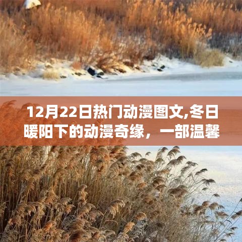 冬日暖陽下的溫馨動漫奇緣，12月22日熱門動漫圖文回顧