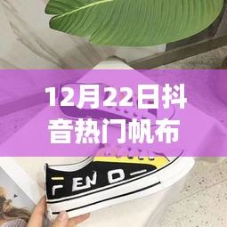 抖音熱門聯(lián)名帆布鞋女款，科技潮流融合之作重磅來襲