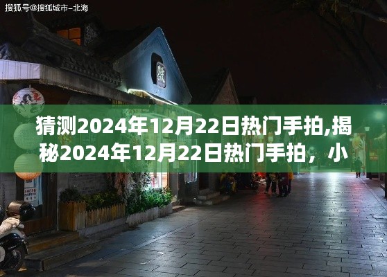 揭秘，2024年12月22日熱門手拍探秘，小巷特色小店之旅