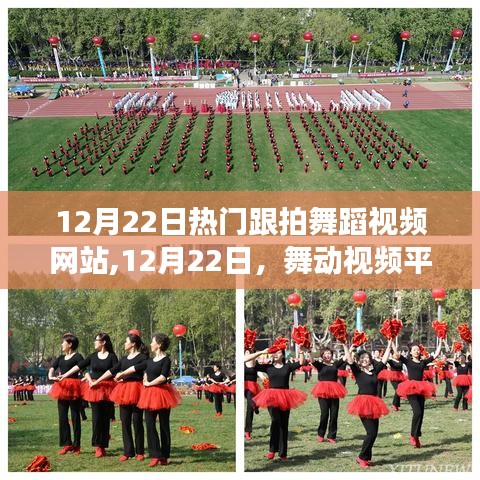 12月22日熱門(mén)舞蹈視頻平臺(tái)，舞動(dòng)人生，躍動(dòng)自信的奇跡舞步