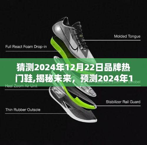 揭秘未來(lái)鞋履潮流趨勢(shì)，預(yù)測(cè)2024年12月22日熱門品牌鞋風(fēng)采亮相