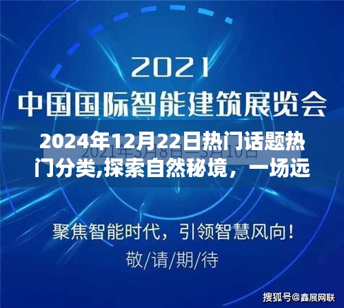 探索自然秘境，寧靜力量下的心靈之旅，揭秘?zé)衢T話題背后的秘密