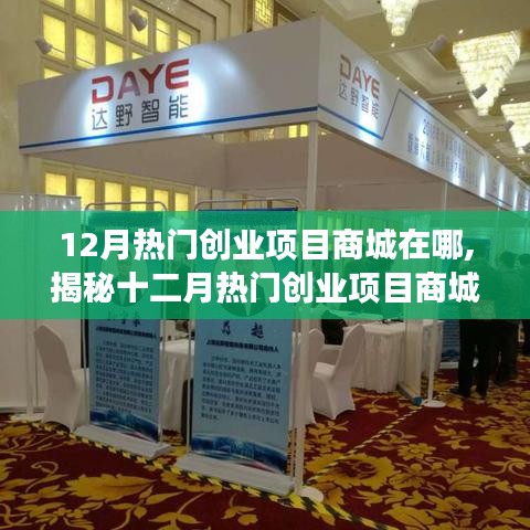 揭秘十二月熱門創(chuàng)業(yè)項目商城所在地，探尋成功創(chuàng)業(yè)的起點