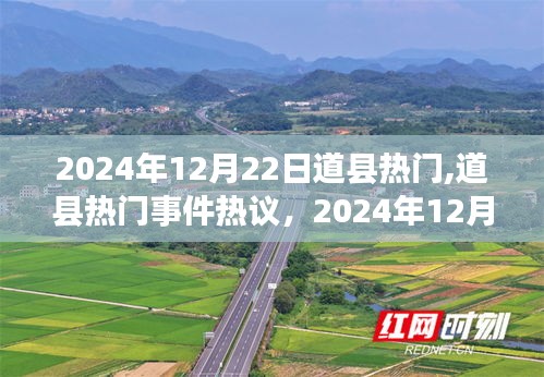 飛揚(yáng)撥扈 第3頁(yè)