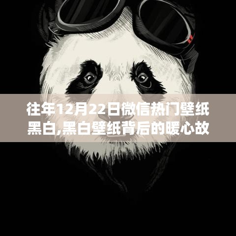 黑白壁紙背后的暖心故事，微信熱門壁紙與溫馨朋友聚會的回憶