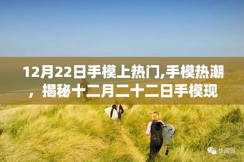 揭秘手模熱潮背后的故事，十二月二十二日手?，F(xiàn)象揭秘