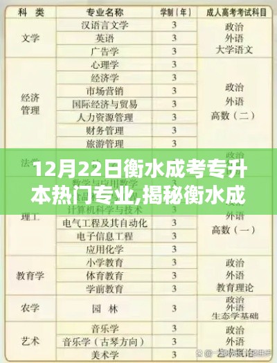 揭秘衡水成考專升本熱門專業(yè)，聚焦點分析，12月22日專業(yè)榜單揭曉