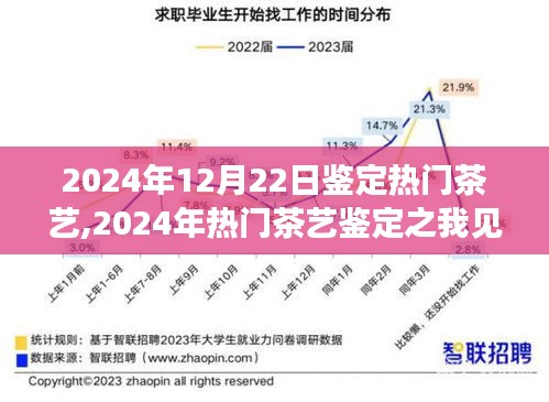 2024年熱門茶藝鑒定深度解析，我的見解與體驗