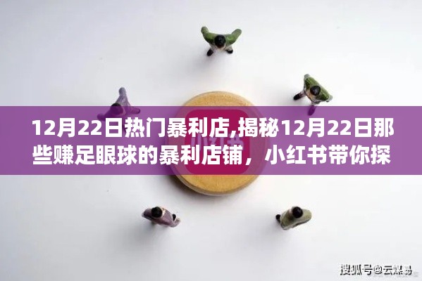 揭秘12月22日暴利店鋪背后的成功秘訣，小紅書(shū)帶你探秘賺足眼球的財(cái)富之路！