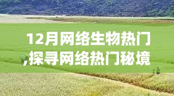 探尋網(wǎng)絡(luò)熱門秘境，與自然美景的浪漫邂逅在十二月網(wǎng)絡(luò)生物圈盛行