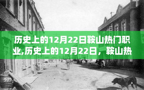 歷史上的12月22日鞍山職業(yè)風采，熱血之路與自信鑄就輝煌之路