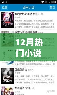12月熱門小說全面評測與介紹，一網(wǎng)打盡！