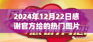 感恩饋贈(zèng)，熱門(mén)圖片背后的故事與特殊的光輝時(shí)刻（2024年12月22日）