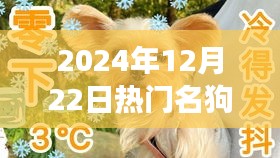 冬日暖陽下的狗星日常，與我的明星好友共度時(shí)光