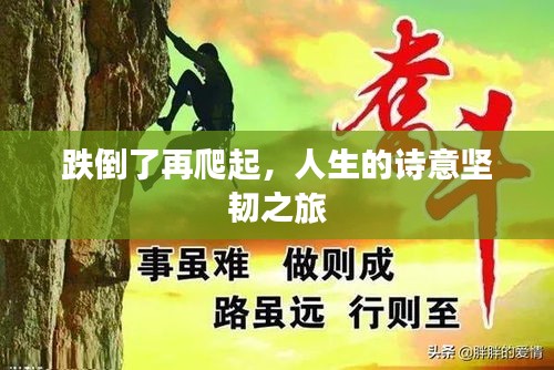 展翅欲飛 第4頁(yè)