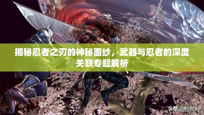 揭秘忍者之刃的神秘面紗，武器與忍者的深度關(guān)聯(lián)專題解析