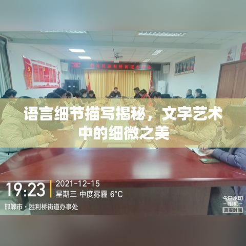語(yǔ)言細(xì)節(jié)描寫(xiě)揭秘，文字藝術(shù)中的細(xì)微之美