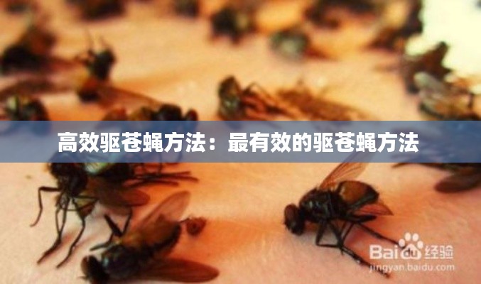 淡妝濃抹 第4頁