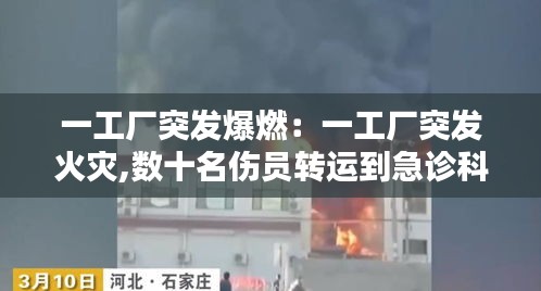 一工廠突發(fā)爆燃：一工廠突發(fā)火災,數十名傷員轉運到急診科 