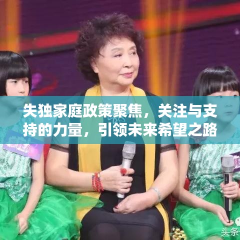 失獨家庭政策聚焦，關注與支持的力量，引領未來希望之路
