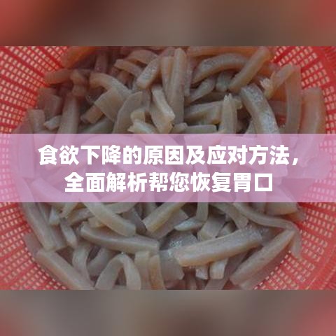 食欲下降的原因及應對方法，全面解析幫您恢復胃口