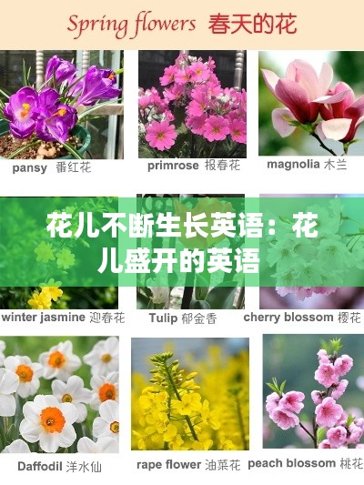 花兒不斷生長(zhǎng)英語(yǔ)：花兒盛開(kāi)的英語(yǔ) 
