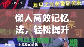懶人高效記憶法，輕松提升記憶力的秘訣攻略