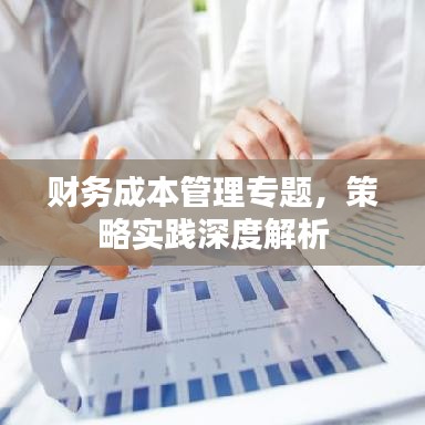 財務成本管理專題，策略實踐深度解析