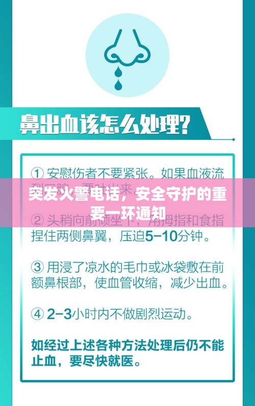 突發(fā)火警電話(huà)，安全守護(hù)的重要一環(huán)通知