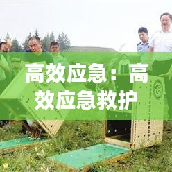 高效應(yīng)急：高效應(yīng)急救護(hù)培訓(xùn)標(biāo)題怎么寫(xiě) 