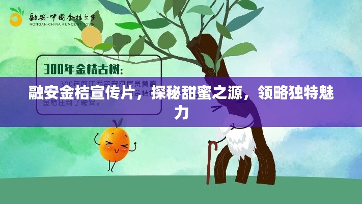 融安金桔宣傳片，探秘甜蜜之源，領(lǐng)略獨(dú)特魅力