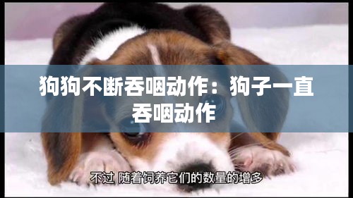 狗狗不斷吞咽動(dòng)作：狗子一直吞咽動(dòng)作 
