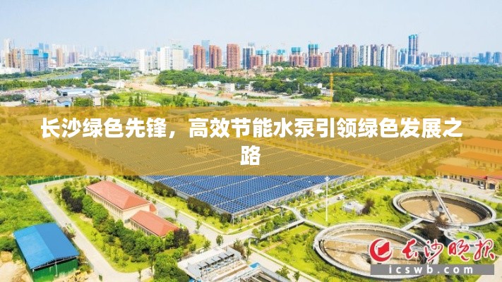 長沙綠色先鋒，高效節(jié)能水泵引領綠色發(fā)展之路
