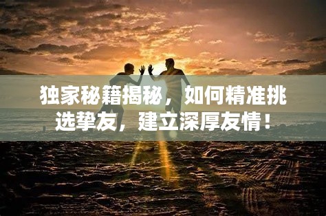 獨家秘籍揭秘，如何精準(zhǔn)挑選摯友，建立深厚友情！