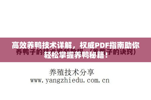 高效養(yǎng)鴨技術(shù)詳解，權(quán)威PDF指南助你輕松掌握養(yǎng)鴨秘籍！
