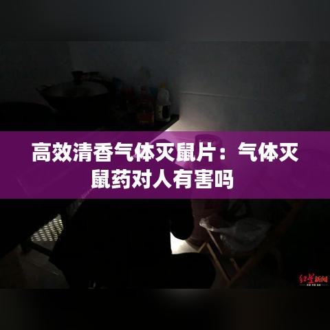 利官近貴 第3頁