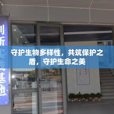 守護(hù)生物多樣性，共筑保護(hù)之盾，守護(hù)生命之美