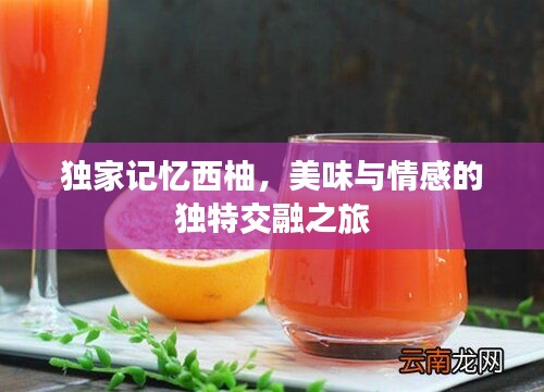 獨家記憶西柚，美味與情感的獨特交融之旅