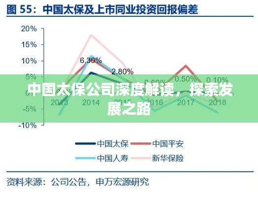 中國太保公司深度解讀，探索發(fā)展之路